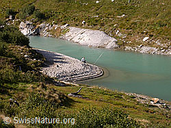 F014277: Fischer am Ufer des Zervreilasee