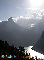 F014346: Zervreilasee und Zervreilahorn im Gegenlicht