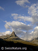 F014395: Zervreilahorn und Morgenstimmung mit Wolken