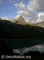 F014403: Zervreilahorn mit Wolken und Spiegelung