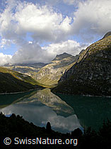 F014414: Zervreilasee mit Spiegelung der Bergwelt