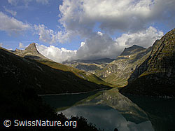 F014417: Bergwelt spiegelt sich im Zervreilasee