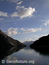 F014433: Zervreilasee mit Staumauer: Spiegelung im Stausee