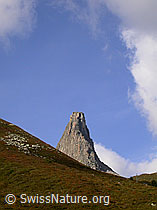 F014435: Zervreilahorn