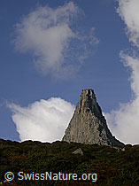 F014442: Zervreilahorn