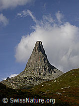 F014444: Zervreilahorn, das Wahrzeichen von Vals