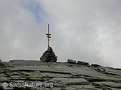 F014459: Wegweiser auf dem Furggelti