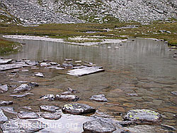 F014467: Schwemmebene unterhalb Furggelti