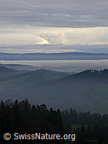 F014531: Nebelmeer zwischen Emmental und Jura