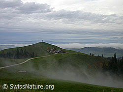 F014571: Bauernhof an Hügel mit Nebelmeer über dem Mittelland