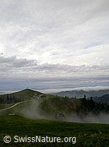F014575: Emmentaler Hügel mit Nebelmeer