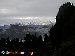 F014727: Gummhorn, Wetterhorn, Schreckhorn, Bröndlisflue