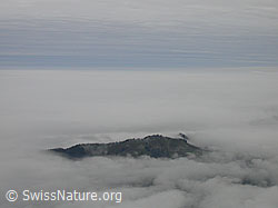 F014760: Marbachegg mit umfassendem Nebelmeer