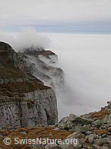 F014771: Furggengütsch: Nebelmeer über dem Mittelland