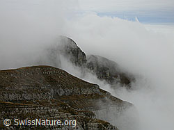 F014774: Nebelschwaden am Hohgant und Nebelmeer über dem Mittelland