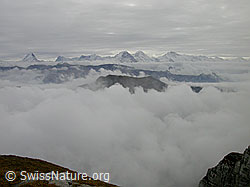 F014776: Furggengütsch: Wolkenmeer und Berner Alpen