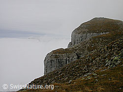 F014784: Furggengütsch mit Nebelmeer