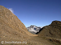 F016874: Ofenhorn in Sichel zwischen Turbechepf