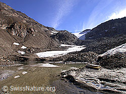 F017063: Schwemmebene