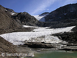 F017087: Gletscher mündet in Gletschersee