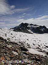 F017180: Ofenhorn und mit Geröll bedeckter Gletscher