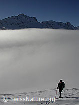 F017726: Skitour mit Blick über Nebelmeer