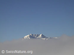 F017728: Gipfel des Bättlihorn ragt aus Nebelmeer