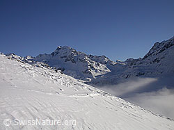 F017732: Ofenhorn mit Nebelmeer über dem Binntal