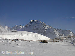 F017769: Schneeverwehung und Ofenhorn