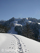 F018152: Schneeschuhspur in Emmentaler Hügellandschaft