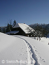 F018156: Schneeschuhspur führt zu Haus in Winterlandschaft