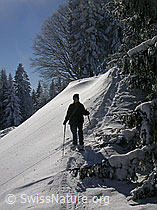 F018217: Schneeschuhläuferin in Winterlandschaft