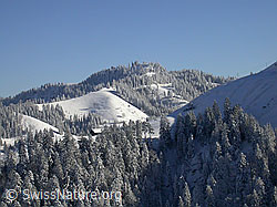 F018268: Höchänzi und verschneite Hügellandschaft