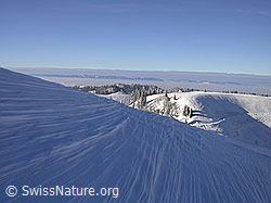 F018309: Spuren des Windes im Schnee und Nebelmeer