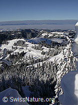 F018347: Farnliesel: Emmentaler Winterlandschaft