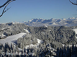 F018357: Farnliesel: Lushütte in Winterlandschaft und Pilatus