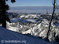 F018361: Emmentaler Hügellandschaft mit Schnee, Nebel über Mittelland