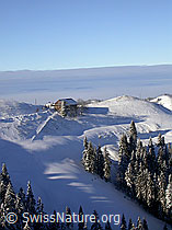 F018370: Bauernhof Farnli auf Krete und Nebelmeer