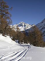 F018428: Winterwanderweg im Binntal mit Ofenhorn