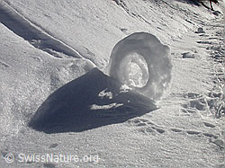 F018497: Natürliche Kunst aus Schnee am Wegrand