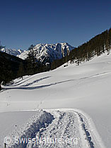 F018501: Winterwanderweg Binntal und Breithorn