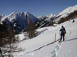 F018504: Schneeschuhläufer in den Bergen