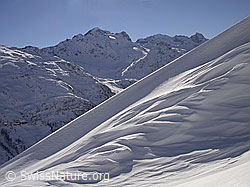 F018522: Grosse, interessant geformte Wächte