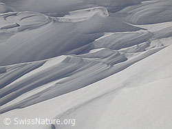 F018538: Vom Wind geformter Schnee