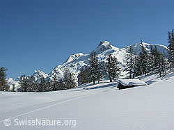F018707: Weihnachtskarte: Hütte in verschneiter Berglandschaft