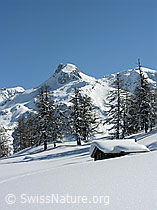 F018708: Haus und Berglandschaft mit viel Schnee