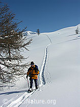 F018747: Schneeschuhläuferin mit langezogener Spur