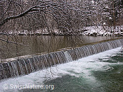 F018827: Schwelle in der Emme