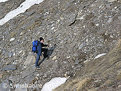 F021468: Unterwegs auf Strahlertour