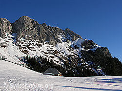 F021591: Seehore, Alphütte und Hang mit Skispuren